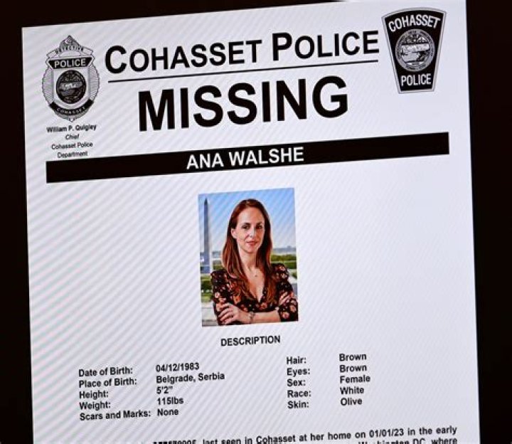 
Before They Were Married, Brian Walshe Allegedly Threatened to Kill Missing Mom Ana Walshe 
