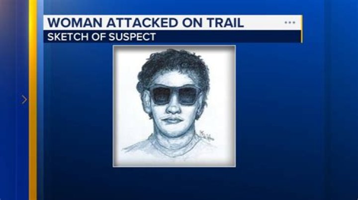 
Chicago Police release sketch of man who sexually abused girl walking home from school in Washington Park 