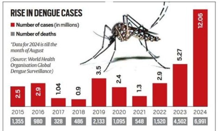 
Dengue cases continue to spike in Pakistan 