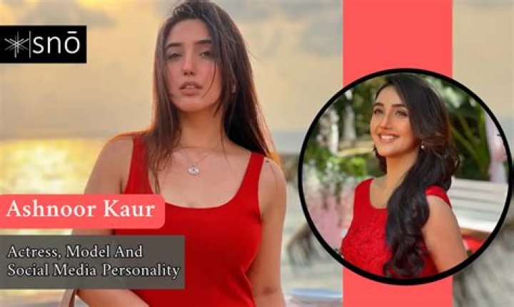 Dilsheen Kaur Height, Weight, Net Worth, Age, Birthday, Wikipedia, Who, Instagram, Biography