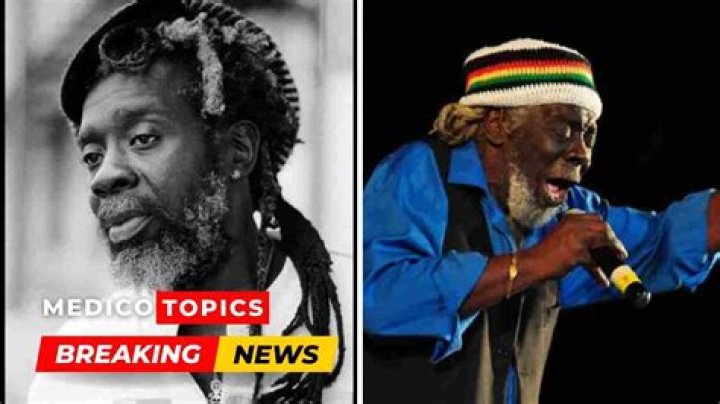 
How did Black Stalin die? Popular Calypsonian cause of death explained 