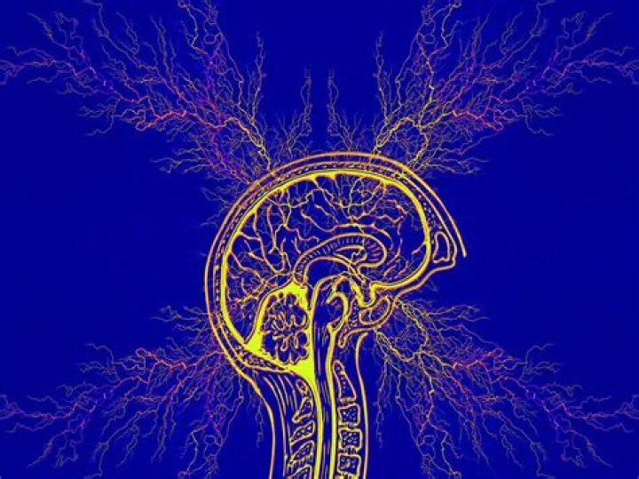 
IISc team develops algorithm to detect seizures 