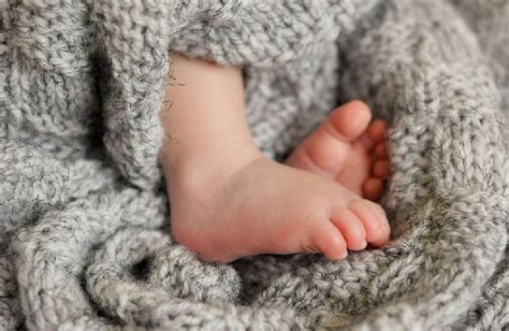 
Newborn Baby Girl Abandoned at Birth Found Alive ‘by the Grace of God’ in Florida Woods 