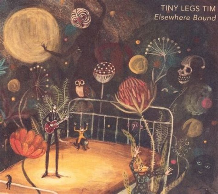 
Tiny Legs Tim Wikipedia: Who Is The Belgian Guitarist And What Happened To Him? 
