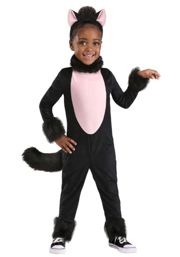 What did Omar Gutierrez do? Video shows Florida man in cat costume arrested over stabbing roommate