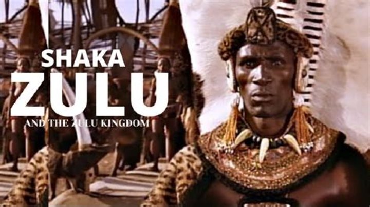 What Happened To Shaka Khoza? Details To Know About His Viral Video