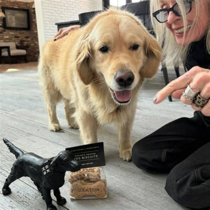 
Who exactly is Chloe Adams? A brave youngster who swam to a rooftop with her beloved dog during the Kentucky flood was rescued. 