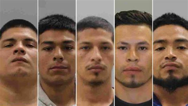 
Who is Francisco Oropesa? Mexican national accused of five murders in Texas 