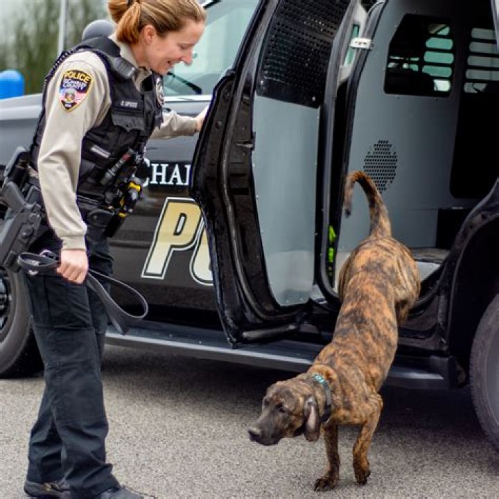 Who Is Ryan Kuehner From St Charles County Police? Officer Gets Slack Over Video Showing Dog Being Shot