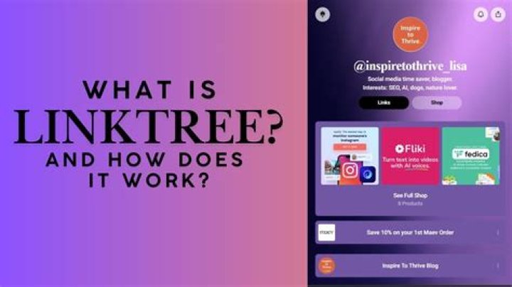 Why is Linktree Not Working on Instagram in 2023? How to Fix It?