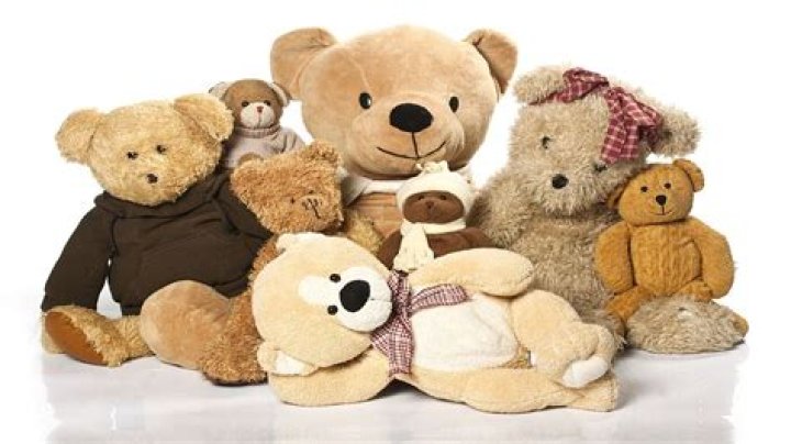 Why were teddy bears invented? Reason leaves TikTokers stunned